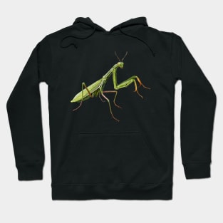 Praying Mantis Hoodie